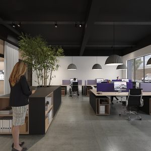 sleek office with acoustics, plants and meeting room designed by thus studio